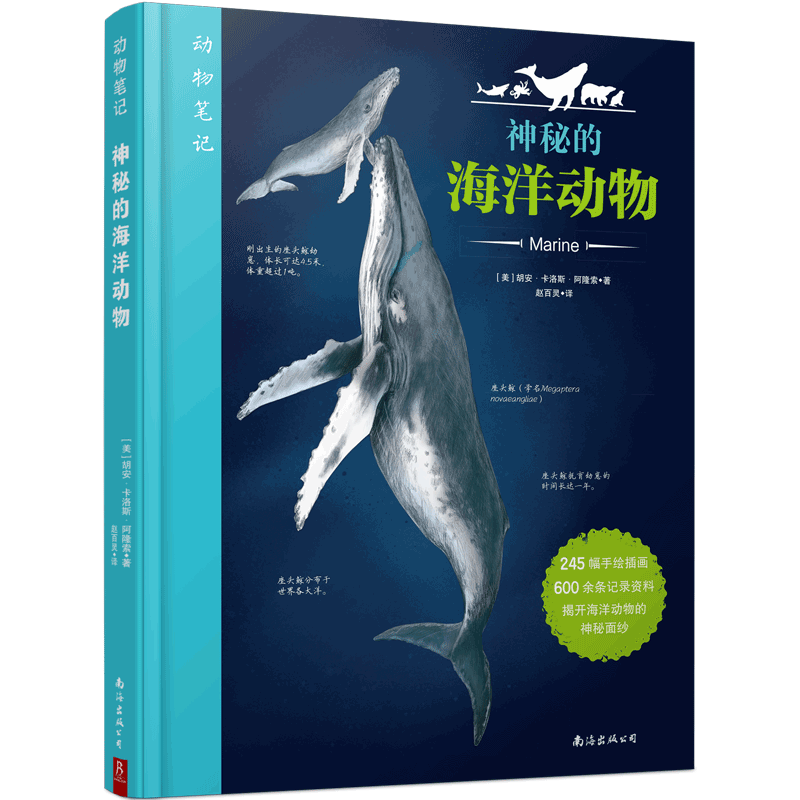 动物笔记：神秘的海洋动物