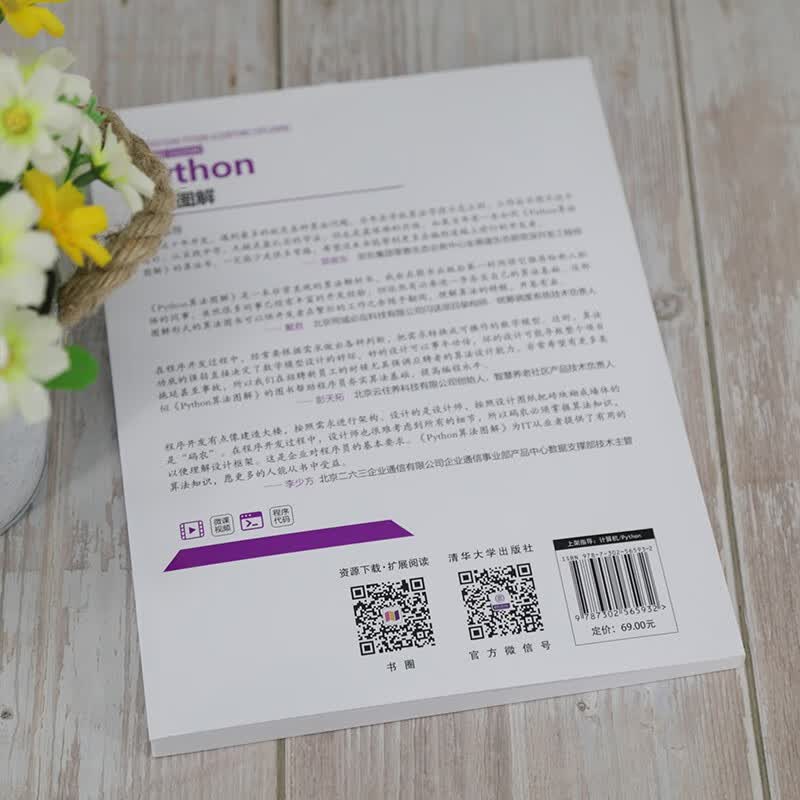 Python算法图解（计算机科学与技术丛书）