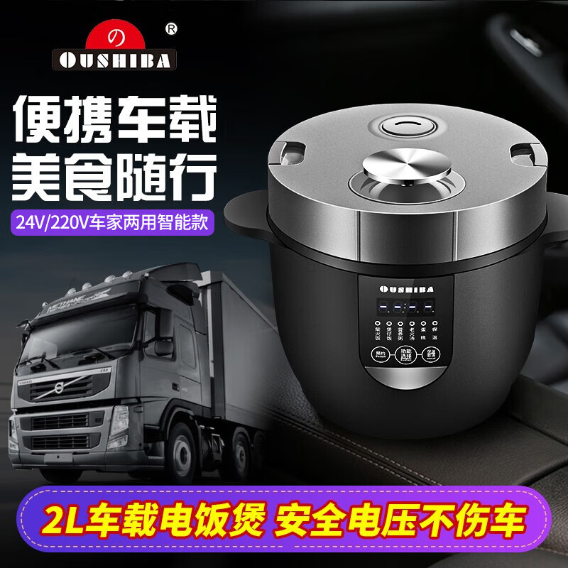 ŷ֮�����ص緹��12VС����24V�����220v�������ô�����2L�緹���ڵ� 2L��24V/220V�����������ܿ