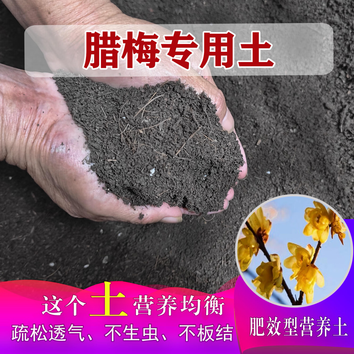 腊梅专用土花草种植土壤腊梅营养土盆栽种花养花植物肥料有机土 腊梅专用土[ 19斤 ]