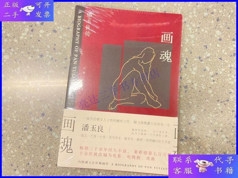 【二手9成新】画魂:潘玉良传