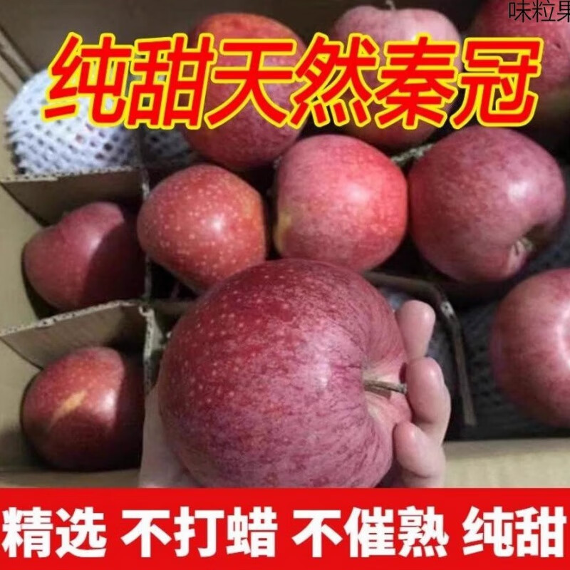 秦冠苹果 陕西礼泉秦观苹果新鲜当季时令现摘冰糖心水果整箱 5斤 70mm