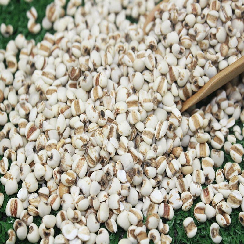 宜享健康薏米仁 薏仁米  大薏米仁 农家自种五谷杂粮苡米仁