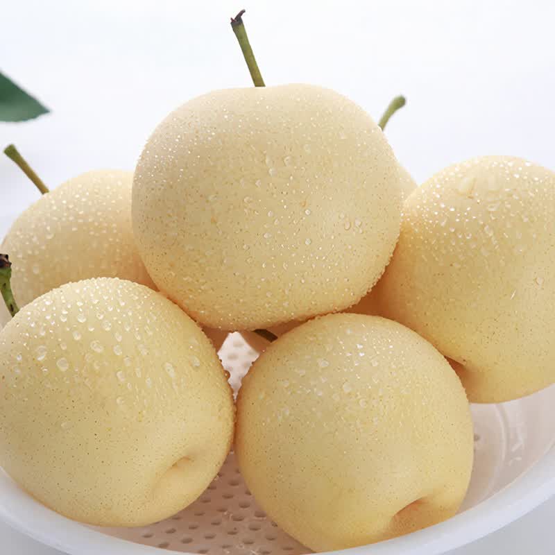 德骊嘉河北皇冠梨当季新鲜水果雪梨梨子水晶梨整箱礼盒 3斤
