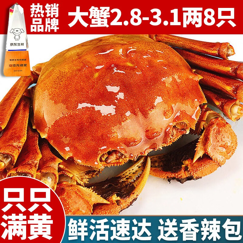 【活蟹】蟹爵六月黄2.8-3.1两8只大闸蟹生鲜螃蟹 现货河