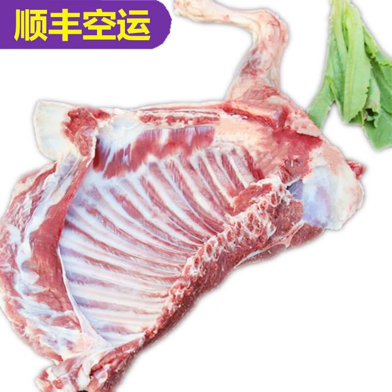 新鲜羊羔肉羊后腿前腿排骨原切生鲜苏武沙羊炖煮特产 6月羔羊前腿6斤