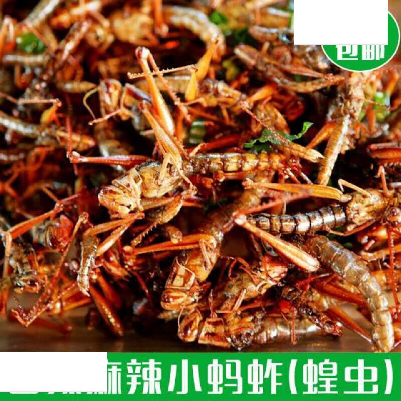 其他特产价格变化趋势|其他特产价格比较