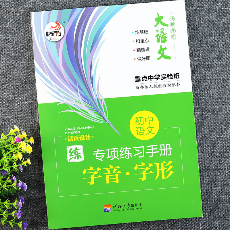 初中语文专项练习手册字音字形专项练语文基础知识手册大集结人教部编版初中语文教材同步练习册初中拼音易错别字强化训练