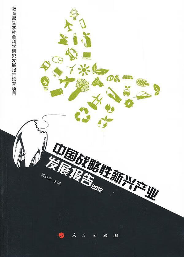 2012-中国战略性新兴产业发展报告肖兴志人民出版社9787010117270