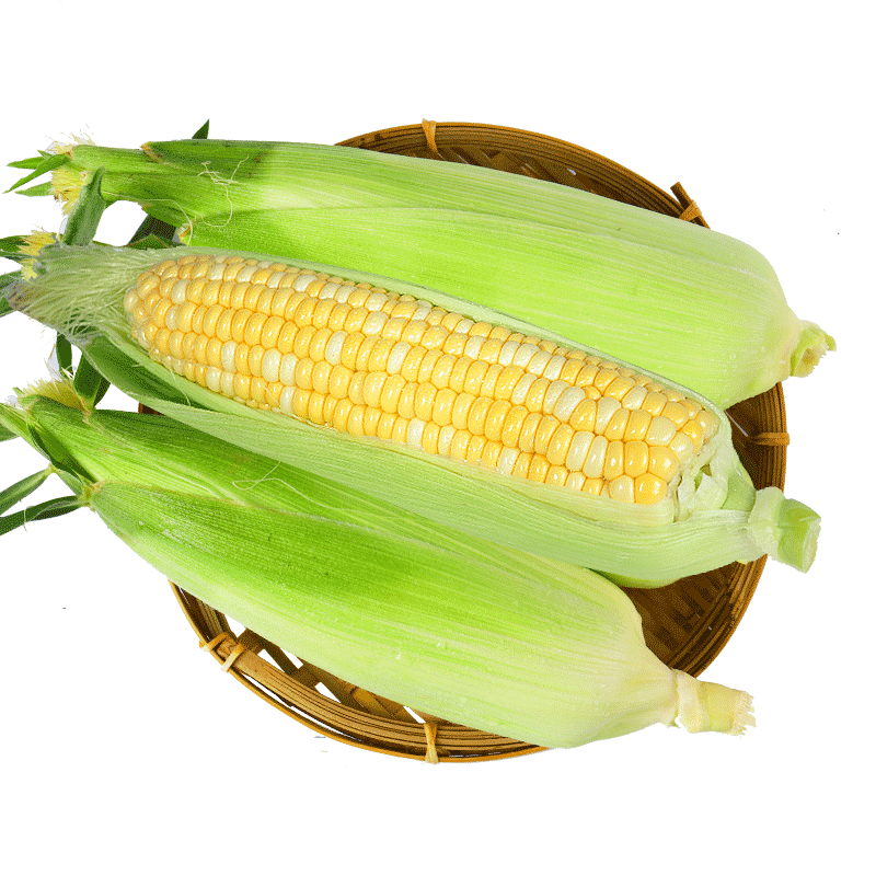 ��Ƭ�� ˮ������ ���������� �ư׿��� 5��Լ5-8�� 12.45Ԫ