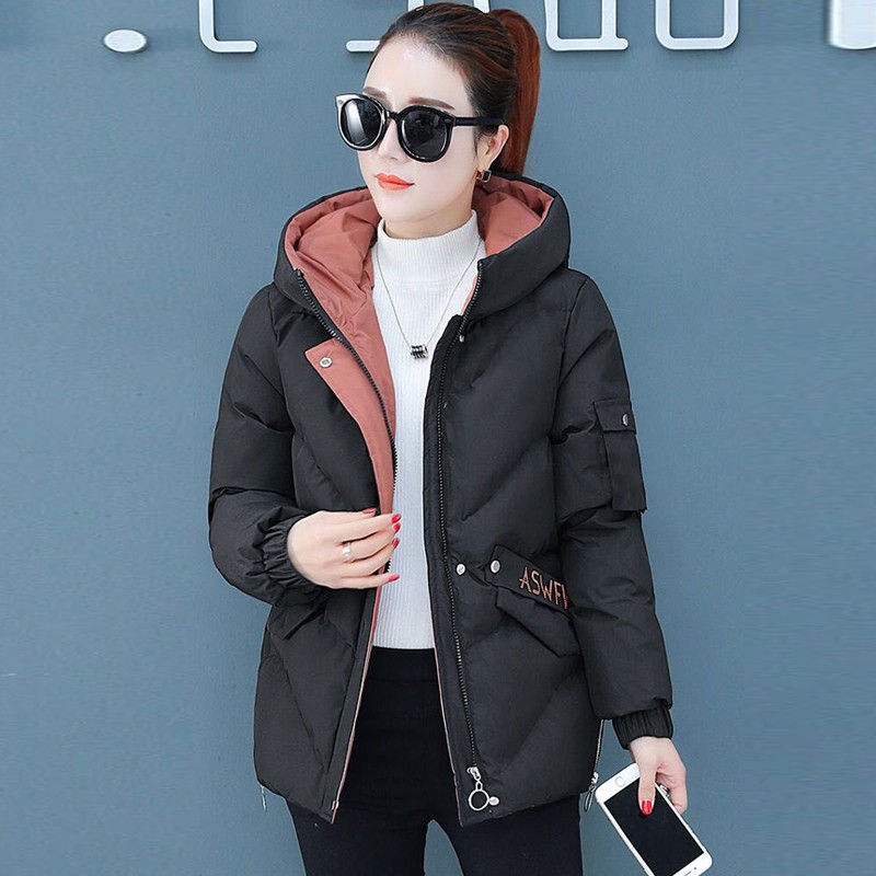 女士棉服历史价格查询|女士棉服价格走势图