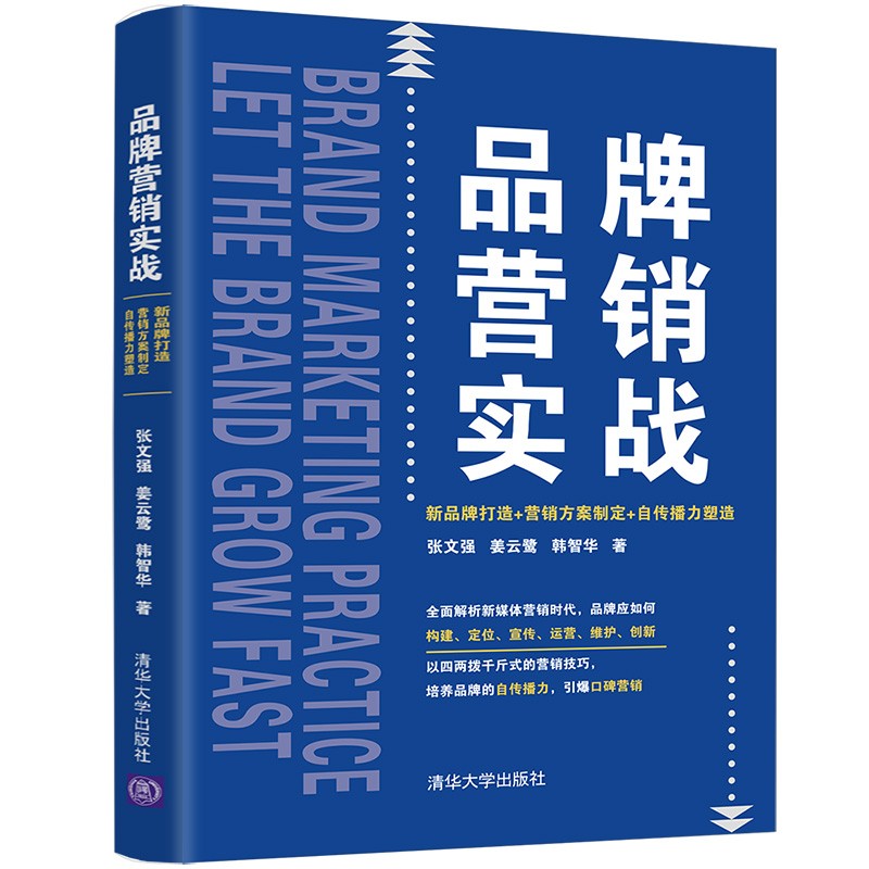 品牌营销实战：新品牌打造+营销方案制定+自传播力塑造