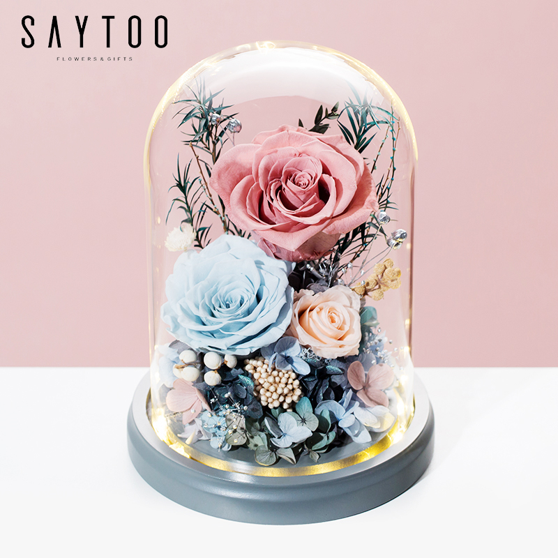 怎么查一款永生花历史价格|永生花价格历史