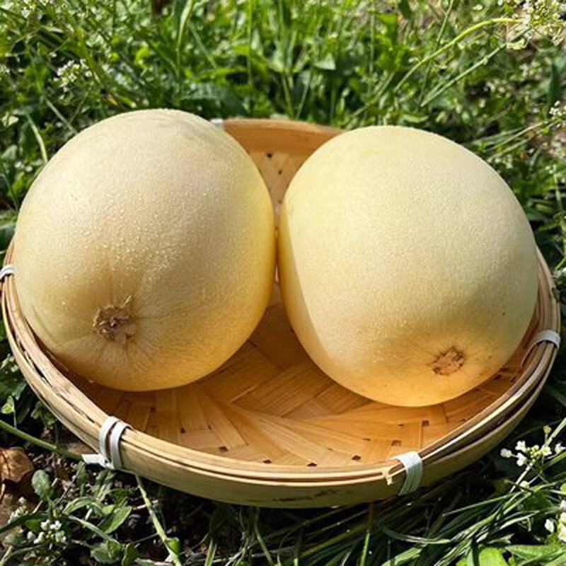 瓜京东历史价格|瓜价格历史