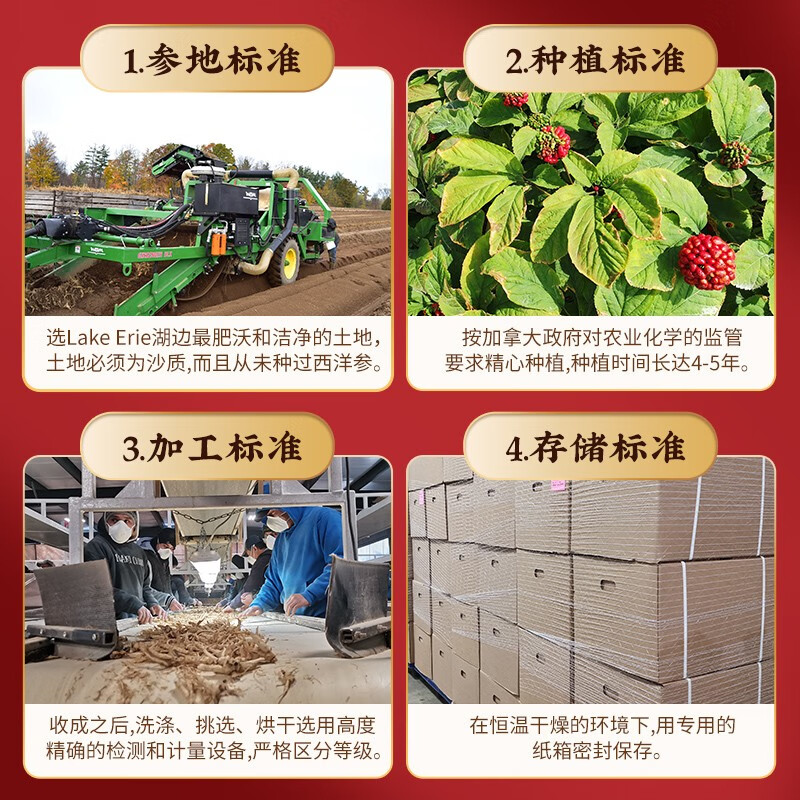 格朗科西洋参加拿大进口4年特级整枝超值装花旗参 227g