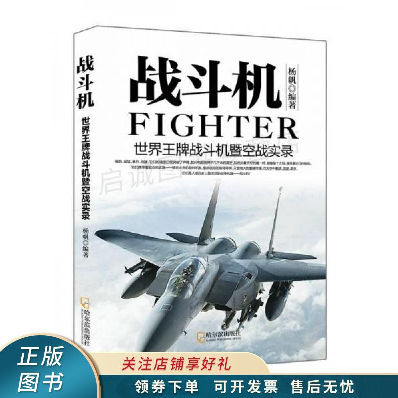 战斗机世界战斗机暨空战实录