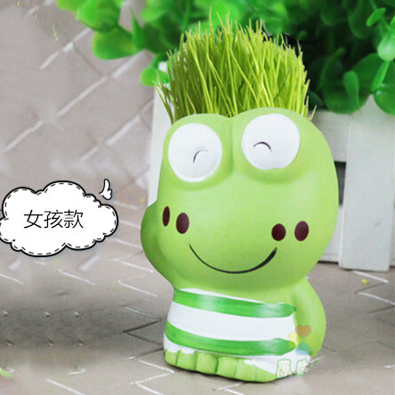 创意盆栽幼儿园发芽小植物diy长草情侣室内桌面青蛙绿植 青蛙女孩款