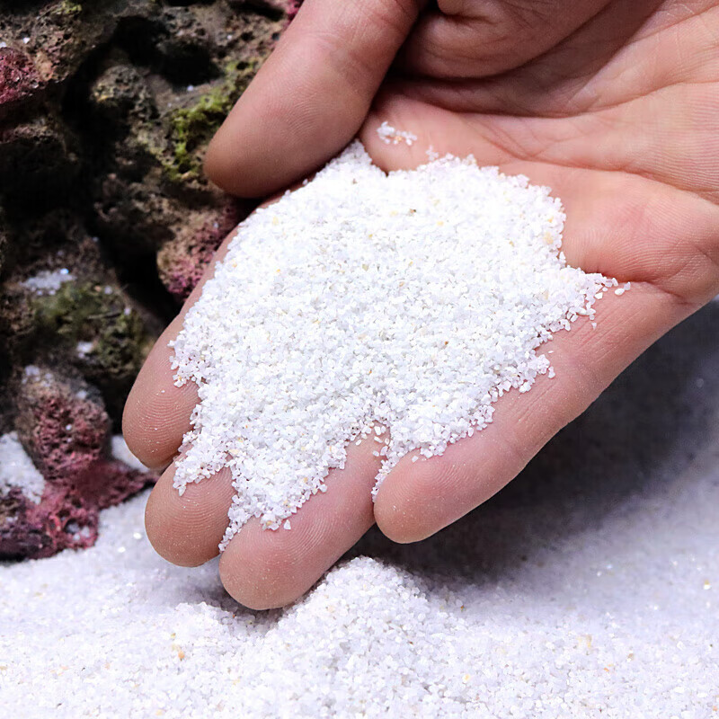 墨之瑶菲律宾沙贝壳白细沙珊瑚砂鱼缸装饰造景海缸三湖慈鲷鱼 细沙3斤