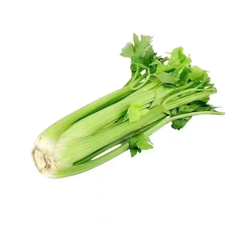 德骊嘉【冷链运输】山东现摘荷兰西芹新鲜芹菜榨汁农家蔬菜嫩心 精选5