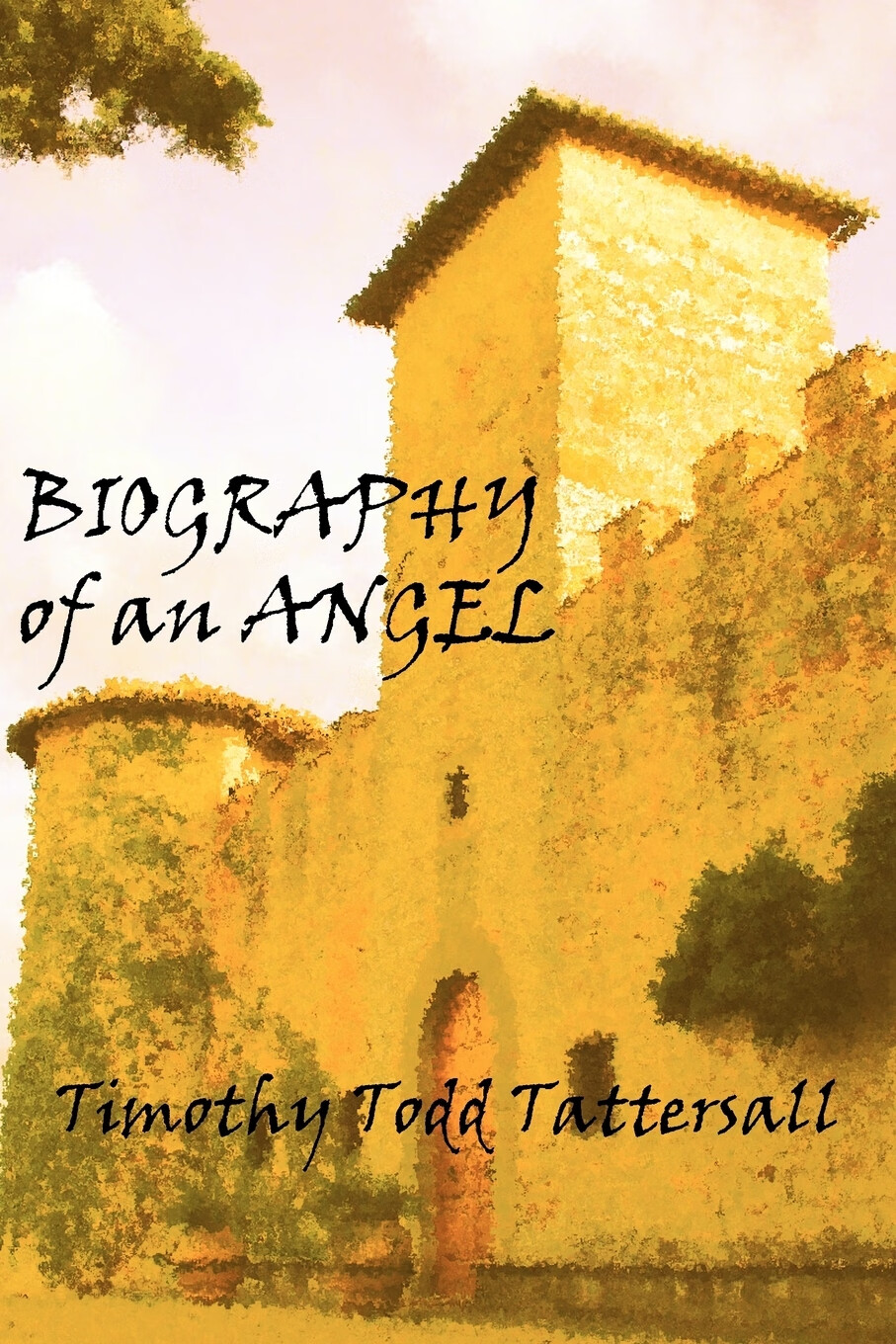 【预售 按需印刷】biography of an angel