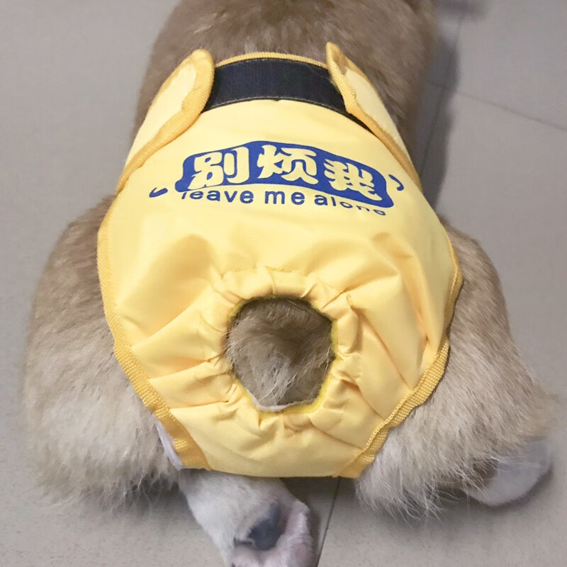 华元宠具（hoopet）宠物生理裤大型犬母狗金毛月经裤防骚扰安全裤 大狗小狗生理裤 黄色生理裤（轻薄款） M(适合腰围48-62cm)怎么样,好用不?