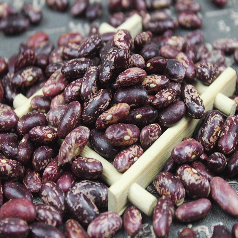 虎钢馋新货花芸豆红花大芸豆农家自产紫花芸豆大饭豆红腰豆