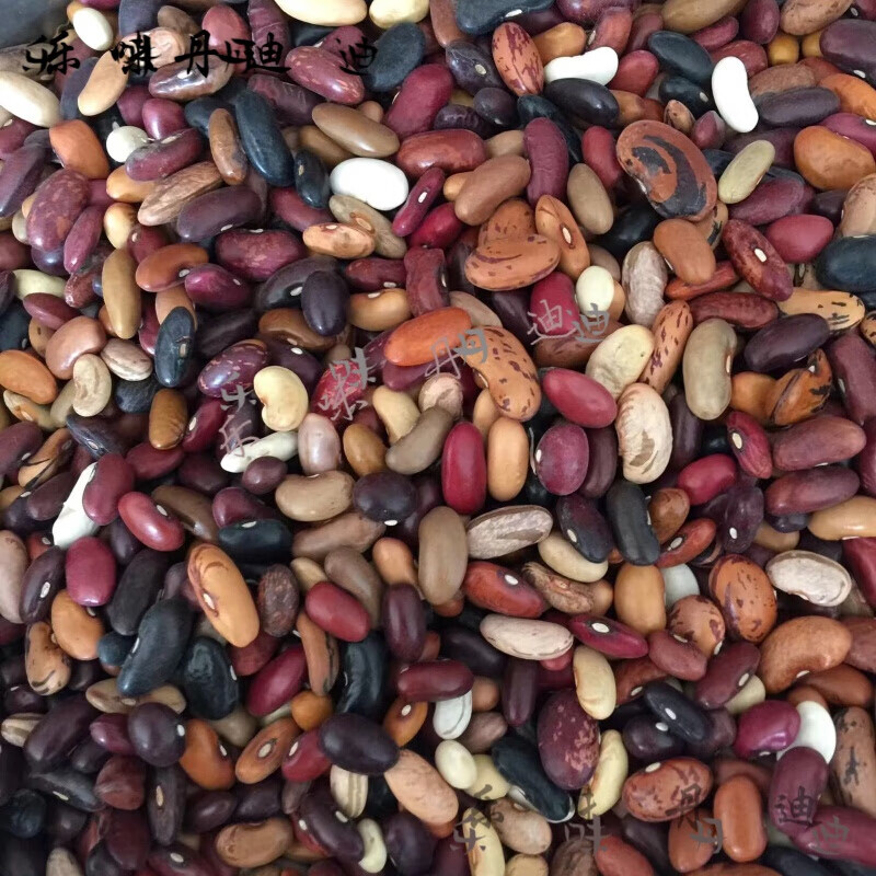 八宝豆农家自产杂芸豆豆类组合红腰豆八宝粥原料杂粮豆 只搬运不加工实惠5斤