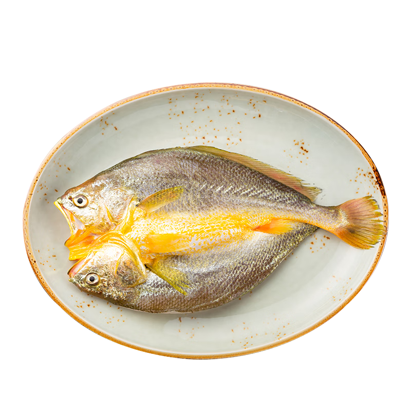 黄小渔醇香黄鱼鲞250g*6条（净重1.5kg）大黄花鱼生鲜水产鱼类源头直发