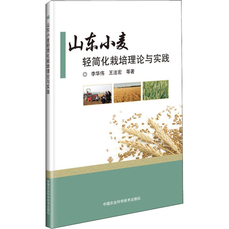 山东小麦轻简化栽培理论与实践