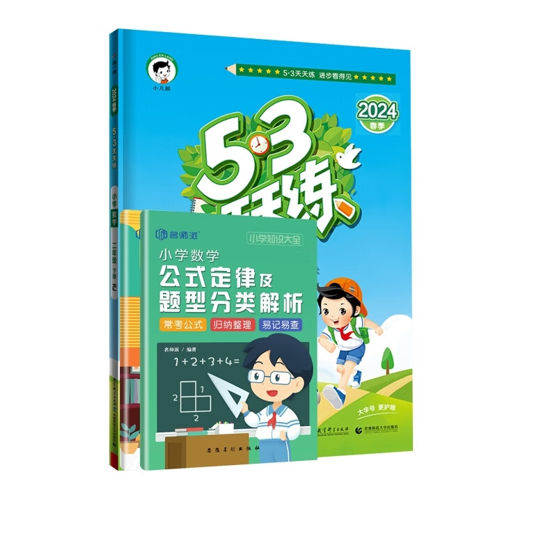 2024版《5.3》天天练二年级下册 数学rj 2赠品