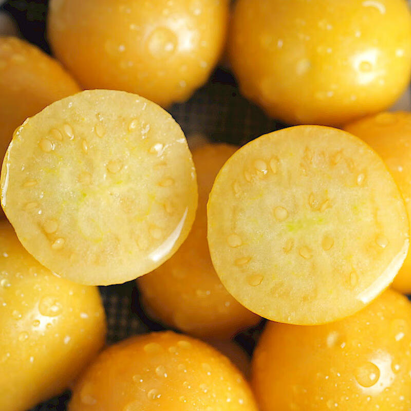 新鲜东北特产姑娘果3斤装洋姑娘灯笼果现摘现发灯笼果应季菇娘果