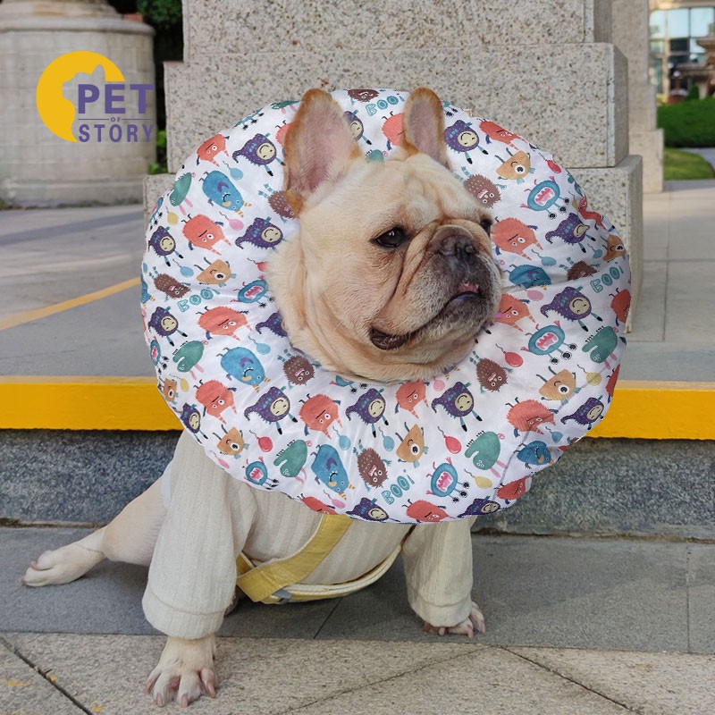 哪里可以查询牵引绳胸背带历史价格|牵引绳胸背带价格比较