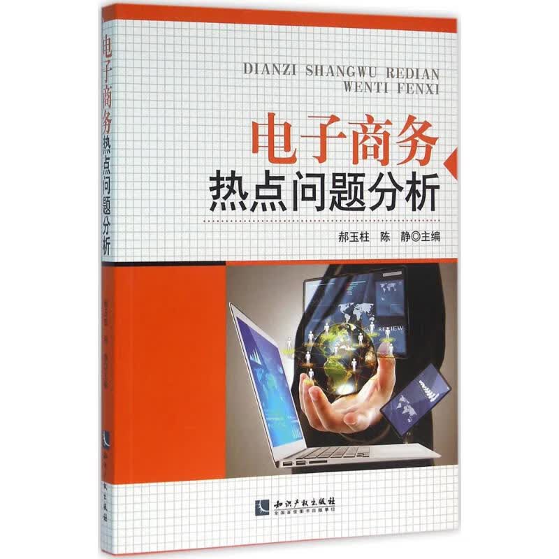 电子商务热点问题分析