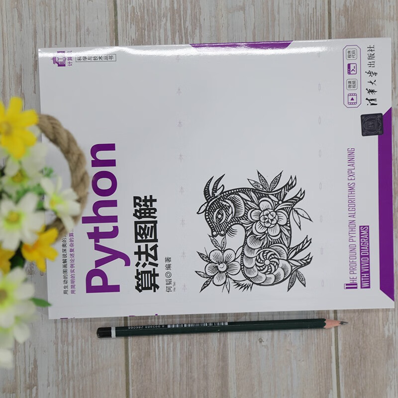 Python算法图解（计算机科学与技术丛书）