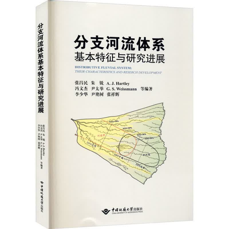 分支河流体系基本特征与研究进展