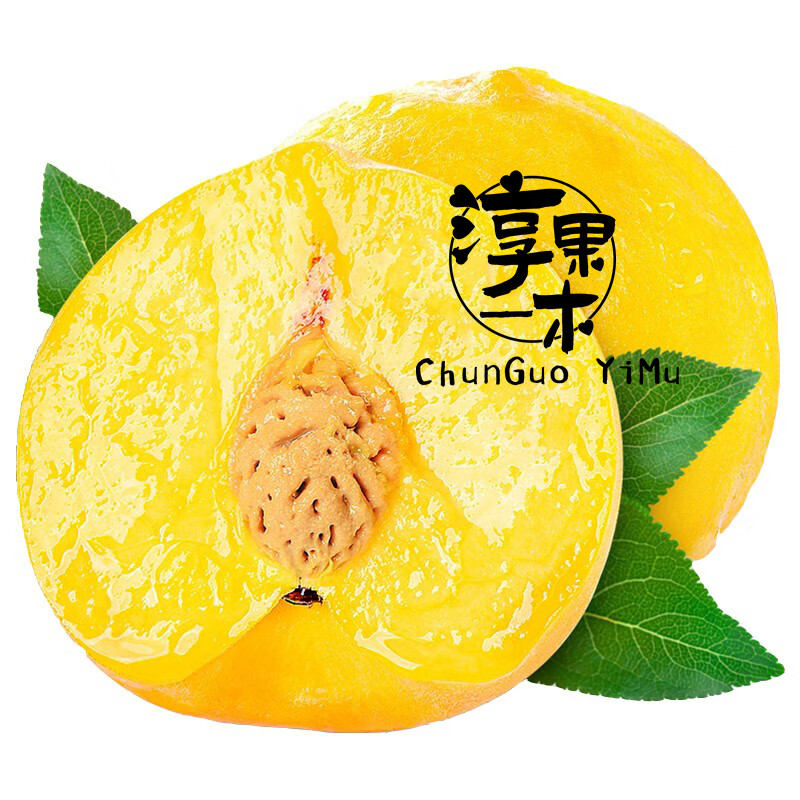 淳果一木 黄桃新鲜水果 黄毛桃子时令当季水锦绣蜜桃黄金桃子新鲜生鲜水果 精选装 5斤（净重4.5-5斤）