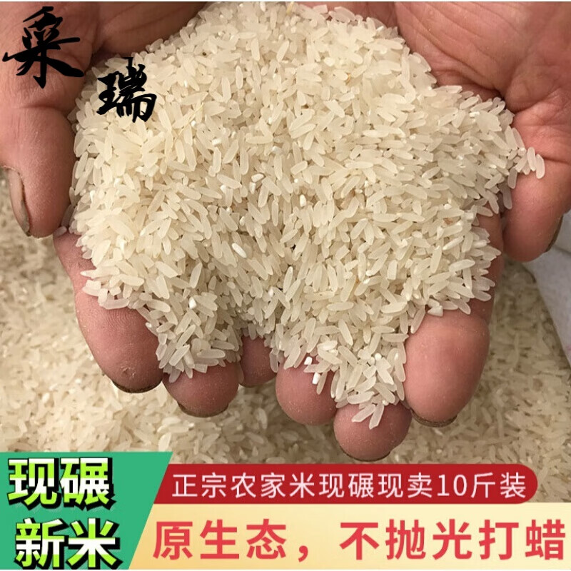 乐佳萱新米广西细米百香米农家不抛光早稻胚芽长粒香大米5kg