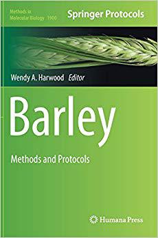 【预订】barley
