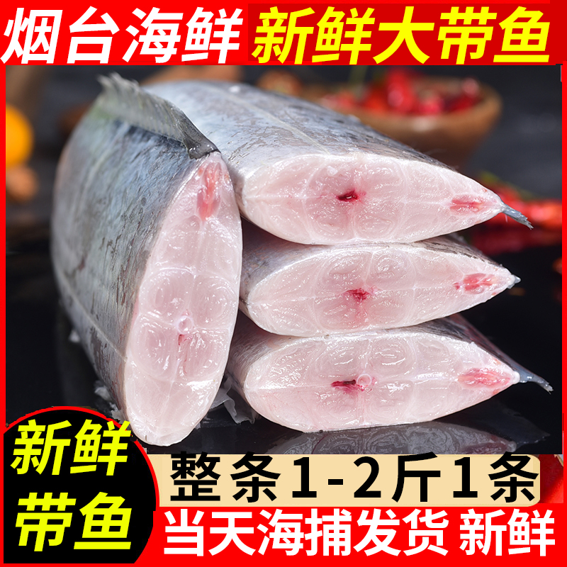 三蟹岛新鲜带鱼 新鲜刀鱼 海鲜年货 烟台大刀鱼整条海鲜水产 带鱼礼盒 2.7-2.9斤/条