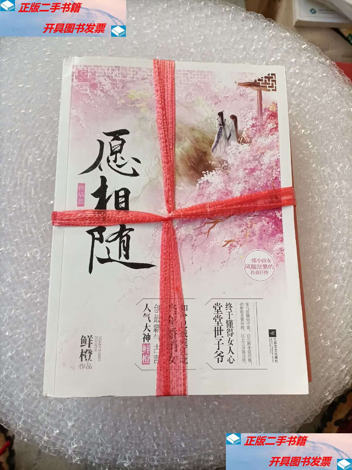 【二手9成新】愿相随终结篇 /鲜橙 江苏文艺