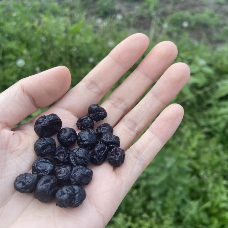 桃枫小离小兴安岭蓝莓果干500g来自森林深处小包装 纯野生蓝莓(无添加