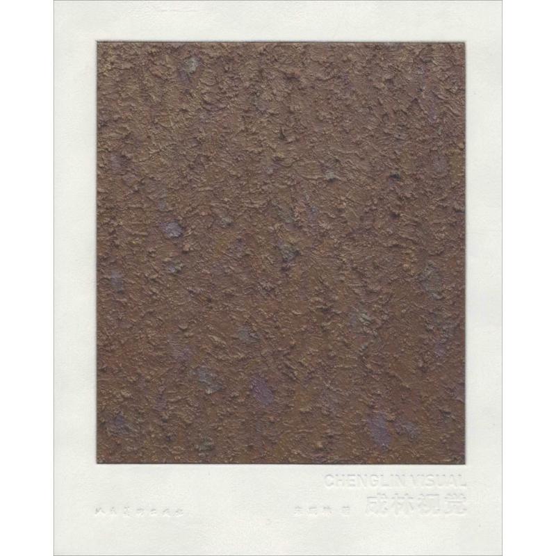 成林视觉 朱成林 绘 作 书籍