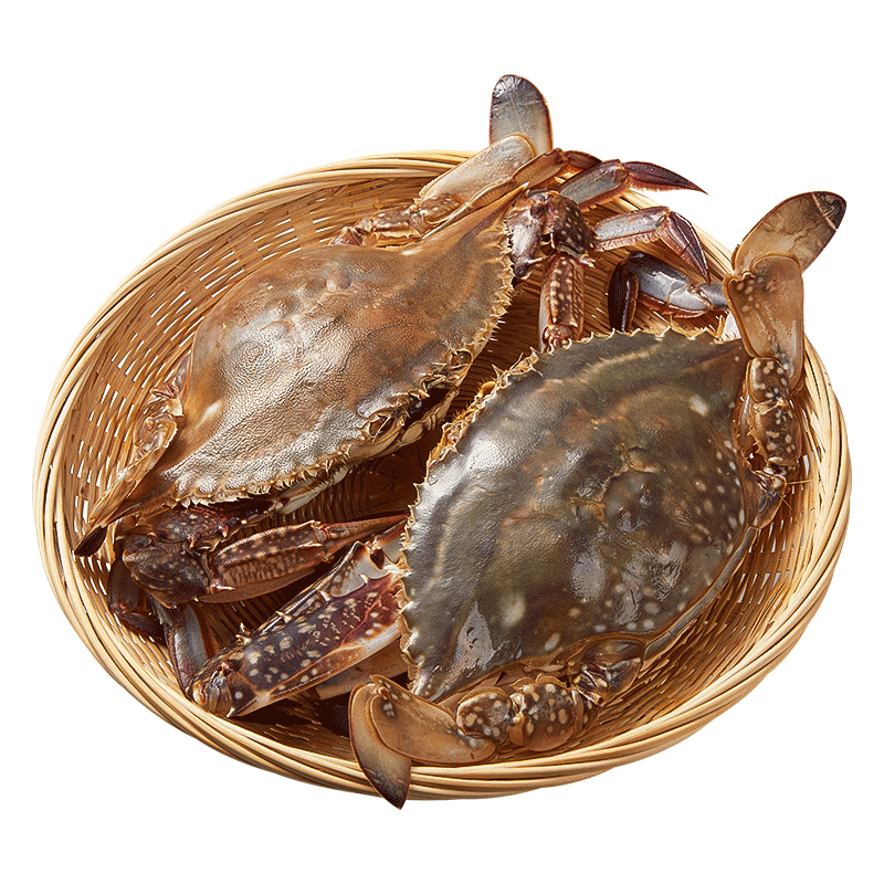 ڲɽзʻз䶳ĸзʻҰʰзˮ 3-4/ֻ10ֻװ 68Ԫ