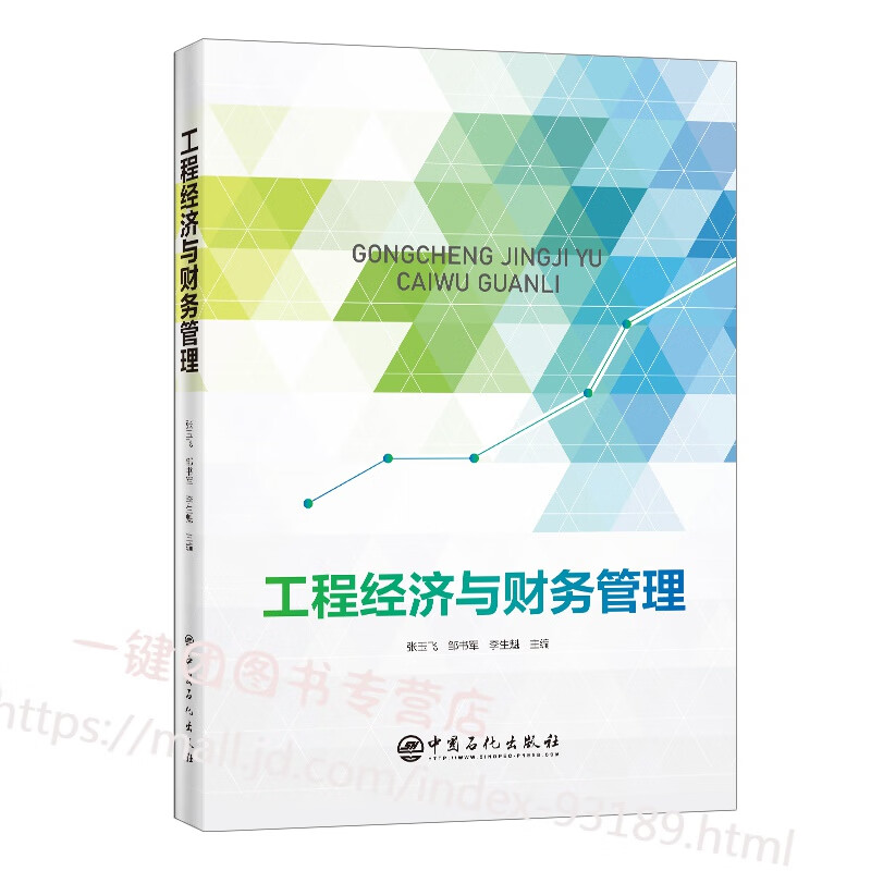 工程经济与财务管理 张玉飞 高等学校教材书籍 工程造价工程管理建筑经济管理会计专业教材 注册造价师建