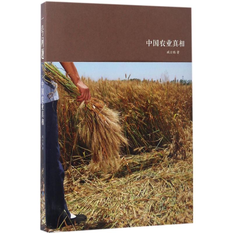 一号问题