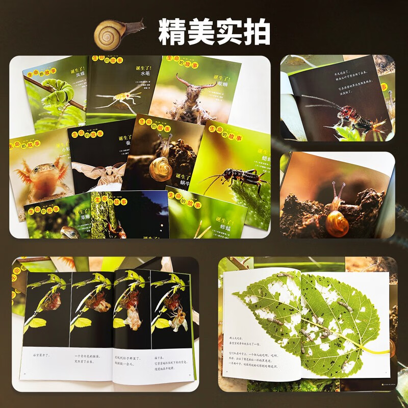 生命的故事 第2辑10册 高清实拍昆虫动物世界 蚕 蝉 蟋蟀 蜗牛 蚱蜢 自然生命简史历程百科绘本 3-6岁儿童科普图书《人民日报》推荐 生命的故事 第2辑10册