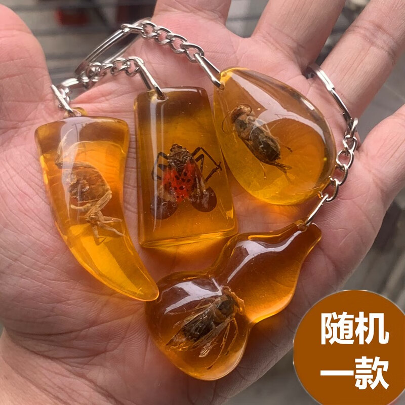 艺香真昆虫标本人工琥珀蝴蝶蜘蛛蚂蚁钥匙扣挂件吊坠创意礼物 钥匙扣1