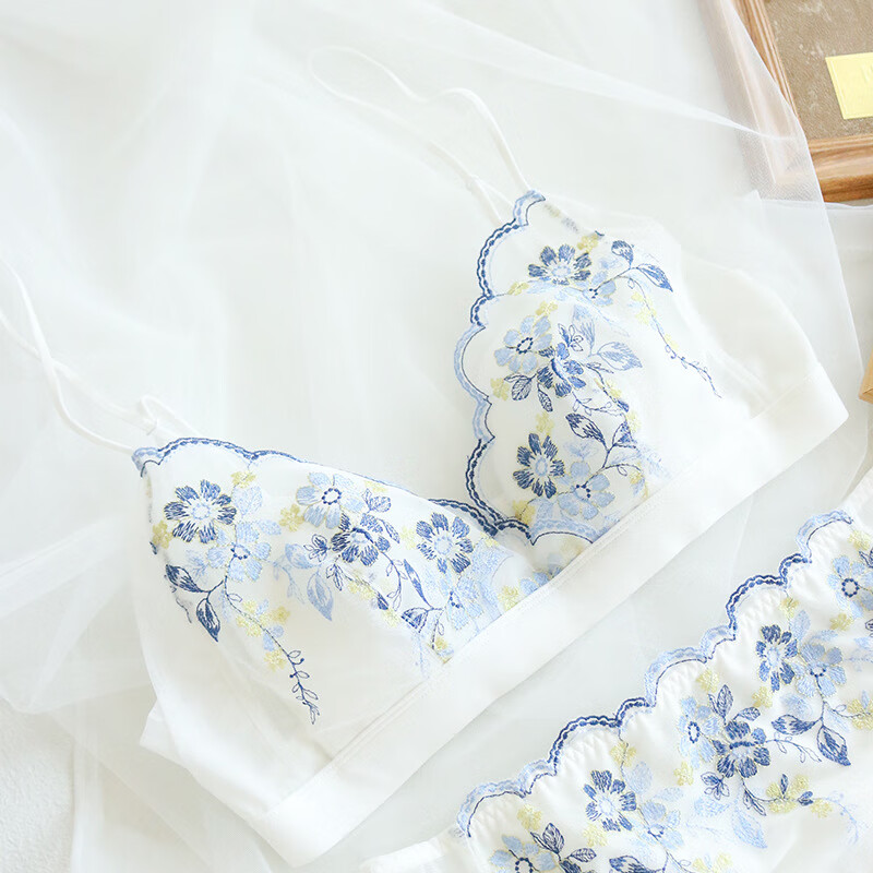 tomms)轻奢春夏刺绣真丝无钢圈文胸蕾丝性感法式桑蚕丝内衣薄款 白色