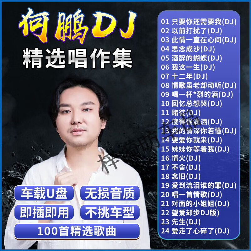 纽曼(newsmy)何鹏dj专辑车载u盘歌曲劲爆重低音舞曲无损高品质车用usb