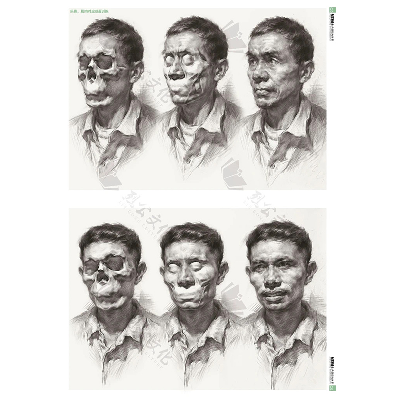 制霸联考2头像结构体系2021烈公文化郭健美术绘画人物头像基本功训练